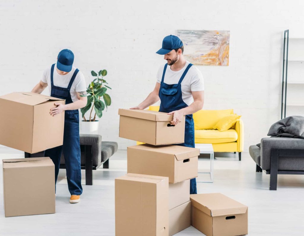 removalists adelaide office relocation services